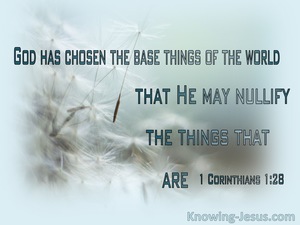 1 Corinthians 1:28